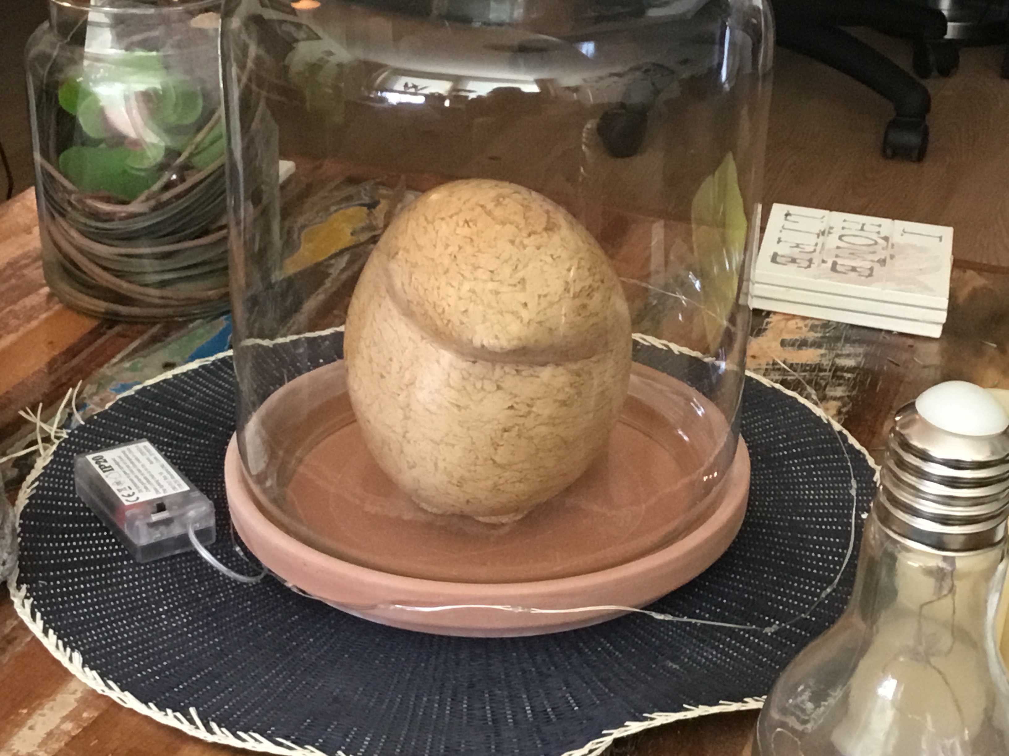 Foto 2 bij artikel "Pinguin Groot".