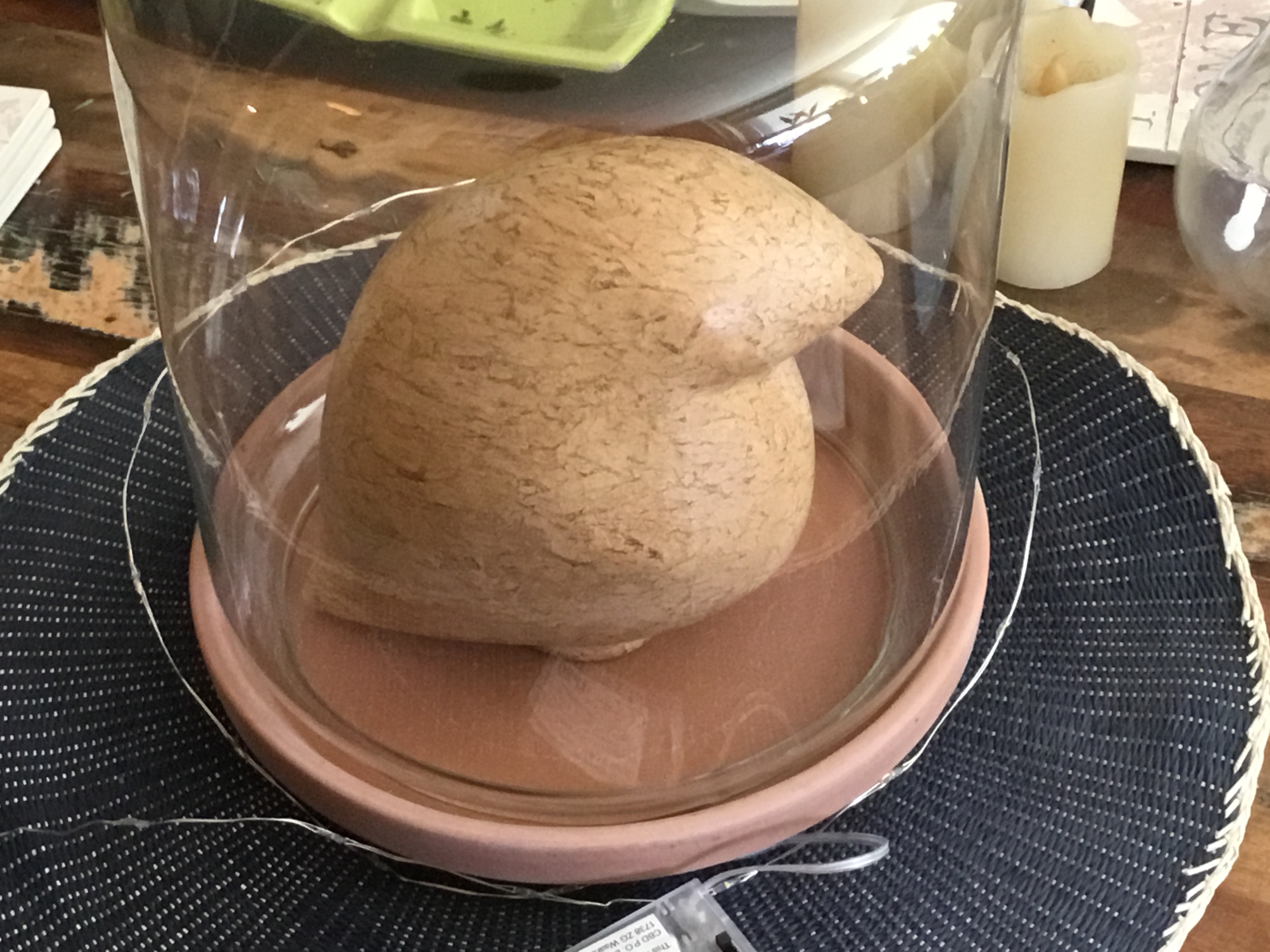 Foto 5 bij artikel "Pinguin Groot".