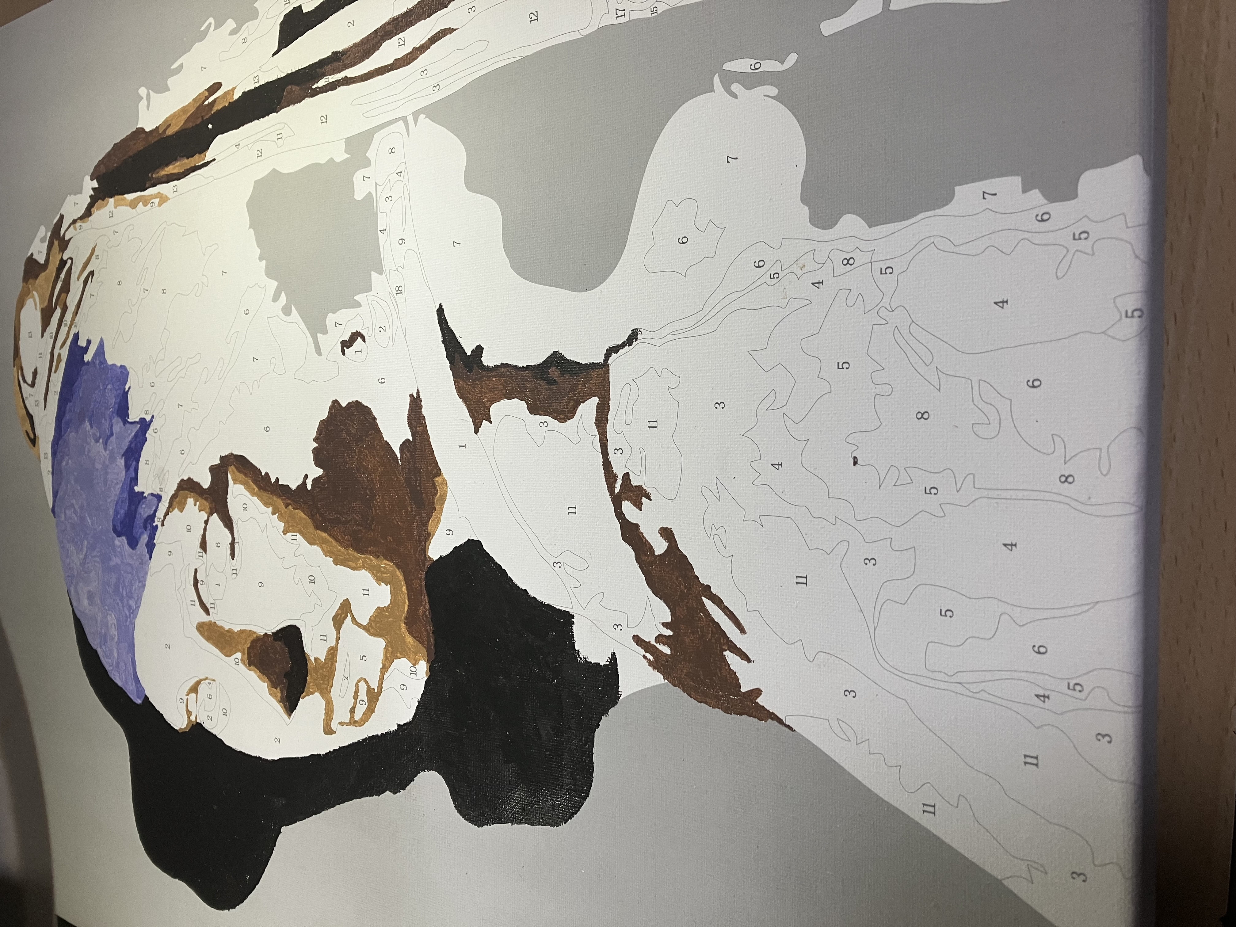 Foto 5 bij artikel "Meisje met de parel (40 x 50cm)".